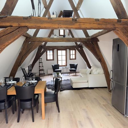 Loft With Big Terrace City Center Meir Anvers Dış mekan fotoğraf